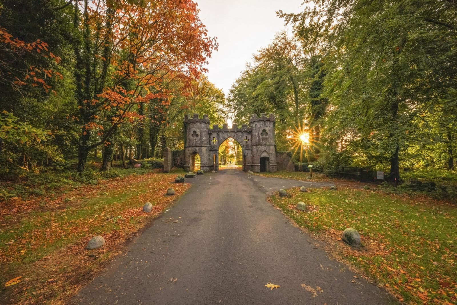 Entry into Tollymore Forest Park Autumn
